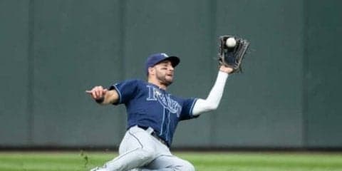 「キャッチ・オブ・ザ・イヤー！」　MLB屈指の名手の“HR強奪”超美技にファン大興奮