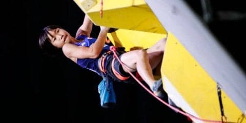 森秋彩、野口啓代が決勝進出／IFSCクライミング世界選手権2019八王子【リード女子準決勝】