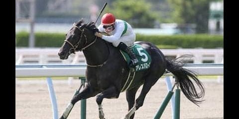 100万馬券が続出。北九州記念は人気の盲点となる差し馬２頭を狙え