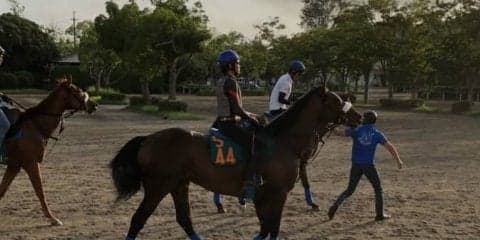 【注目新馬】クロスキー 兄弟にコントラチェック