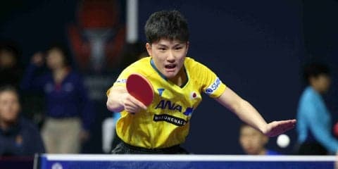張本智和、ストレートで中国選手完封＜卓球・ブルガリアオープン＞
