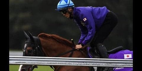 英ＧⅠに挑むベテラン馬、シュヴァルグランに３つの吉兆あり