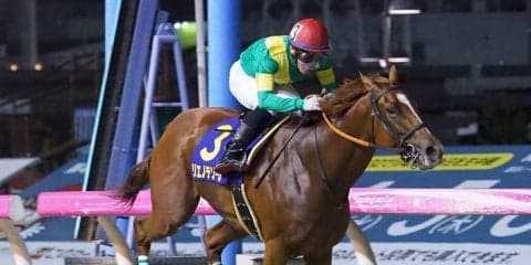 リエノテソーロ号が競走馬登録抹消