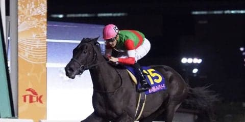 クイーンマンボ号が競走馬登録抹消