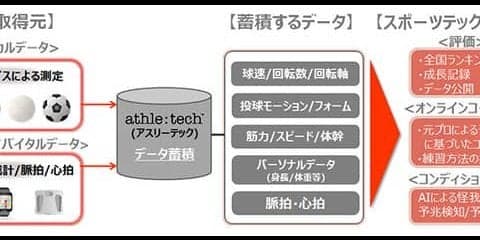 KDDI、大学スポーツの選手育成・ファン拡大に向けた施策を推進