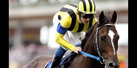 来春を占う新潟２歳Ｓ。同じ産駒の勝率が高い２頭が本命だ