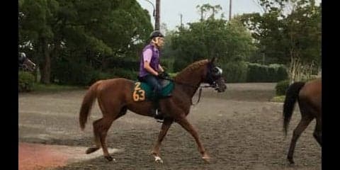 【新潟2歳S】ウインカーネリアン 鹿戸師「最終追いも手応え十分」