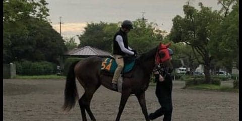 【新潟2歳S】トロワマルス 血統的にゆかりの舞台