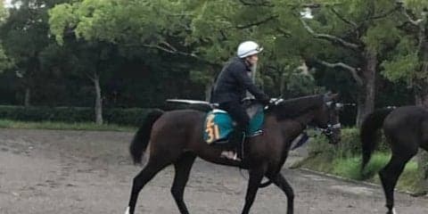 【新潟2歳S】タイムマシン 前走でガラリ一変！引き続き好調