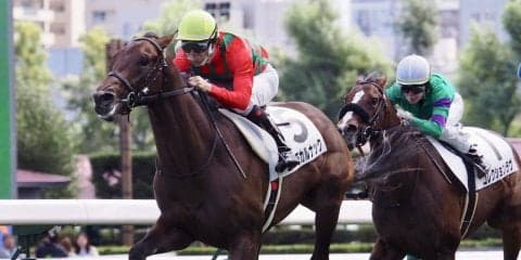 【新馬/札幌5R】キングヘイロー産駒 コスモカルナックがデビューV！