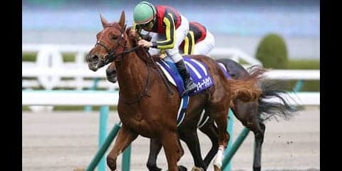 ２歳女王の妹ルリエーヴル。牧場スタッフは「注文なし」と期待はでかい