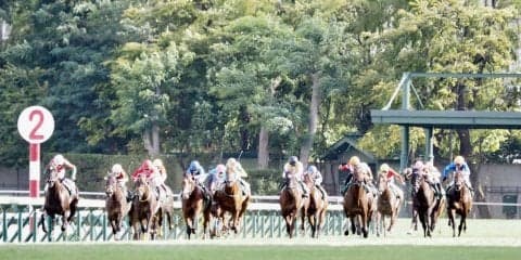 【キーンランドC】ルメール「スタートで躓きました」レース後ジョッキーコメント