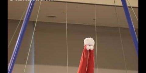 種目別には３人が出場　経験糧に次のステージへ