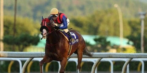 【ビューチフルドリーマーC】レース結果と関係者コメント