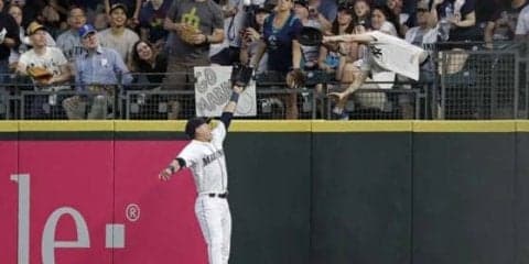 【MLB】左手にグラブ、右手にマジックハンド　“イチメーター”エイミーさんがHR球争奪戦