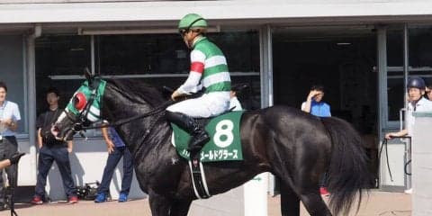 2019コーフィールドカップ（G1）日本馬が予備登録