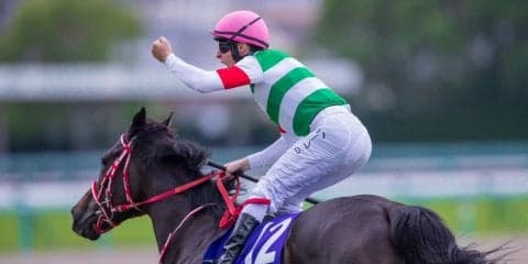 2019メルボルンカップ（G1）日本馬が予備登録