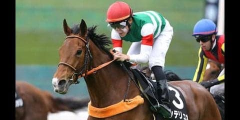 新潟記念は高配当が多発。夏最後の大花火はディープ産駒で打ち上げだ