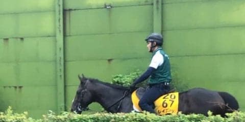 【新潟記念】レイエンダ 軌道に乗って２つ目のタイトル狙う