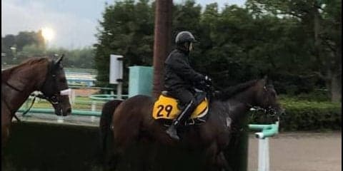 【新潟記念】アクート 得意の新潟なら重賞でも上位