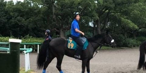 【注目新馬】ペルラネーラ 良血ディープ産駒が始動