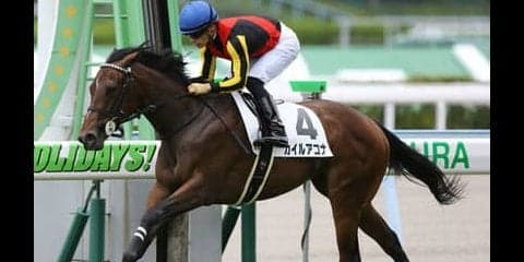 小回りスプリント戦の小倉２歳Ｓ。「２歳限定」の成績から本命が見えた