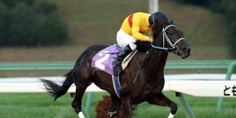 【盛岡・ビギナーズC】レース結果と関係者コメント