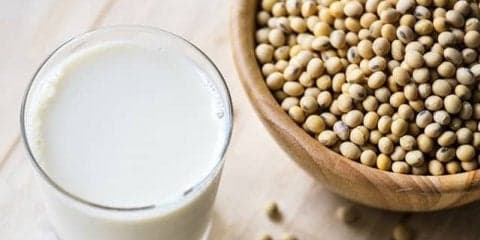 プロテインを飲むと太るって本当？