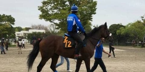 【紫苑S】オークス2着のカレンブーケドールが始動！津村「受けて立つ立場」