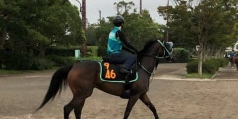 【紫苑S】距離に不安無し！パッシングスルー 黒岩師「順調そのもの」