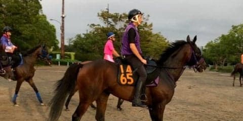 【紫苑S】レッドベルディエス 名手ルメールが騎乗で秋華賞の切符を狙う！