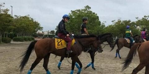 【京成杯AH】ロードクエストが実績のある舞台で復活を狙う