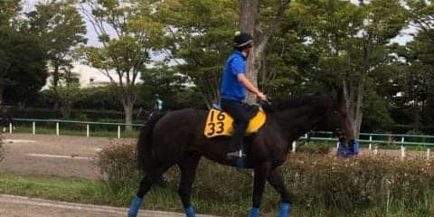 【京成杯AH】プロディカルサン 三浦と新コンビで惜敗脱出を狙う！