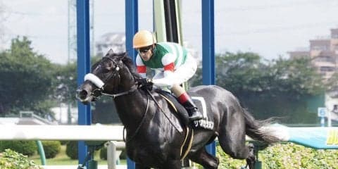 【アスター賞】サクセッションが圧倒的人気に応えてデビュー2連勝！