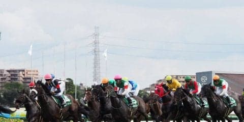 【紫苑S】津村「ハミを噛んだ」レース後ジョッキーコメント