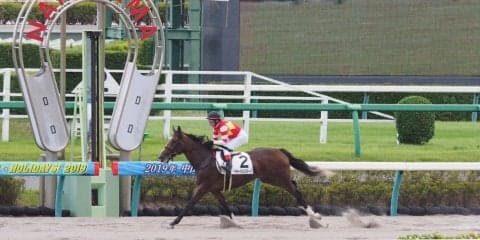 【新馬/中山3R】イモータルスモークが楽々逃げ切ってデビューV！