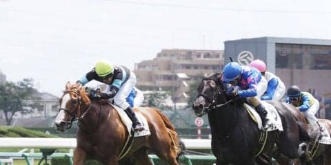 【新馬/中山5R】シャインガーネットが人気に応える！ゴール前しぶとく粘って勝利