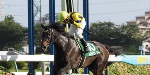 【京成杯AH】トロワゼトワルの大逃げ炸裂！横山典の見事騎乗