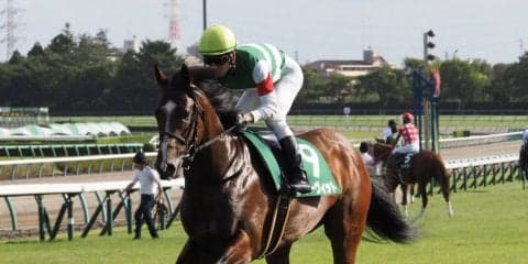 【京成杯AH】松山「一杯一杯」グルーヴィットは1番人気に支持されるも11着