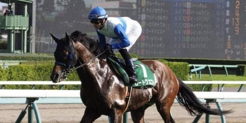 【京成杯AH】Mデムーロ「あぶみが外れた」レース後ジョッキーコメント