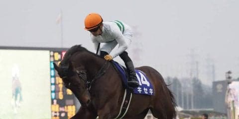 2019凱旋門賞（G1）フランス遠征馬の近況（9月11日）