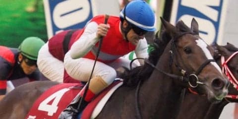 2019アイリッシュチャンピオンステークス（G1）日本馬の近況（9月11日）