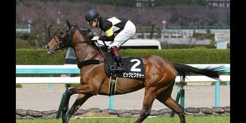 ローズＳはディープインパクト産駒に注目。人気薄馬でも成績はいいぞ