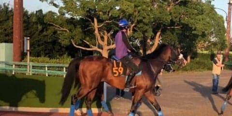 【セントライト記念】サトノラディウス  国枝師「将来性高い」