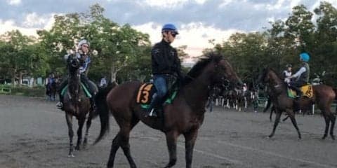 【セントライト記念】ランフォザローゼス 藤沢和師「今度は違う」