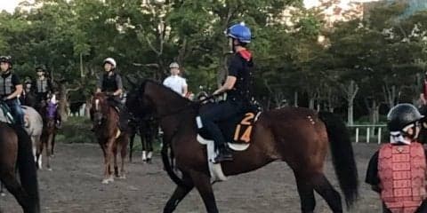 【セントライト記念】オセアグレイト 未勝利から3連勝で勢い十分！