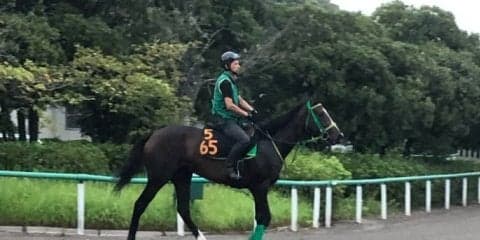 【ローズS】シャドウディーヴァ 斎藤誠師「あまり時計が速くなるとどうか」
