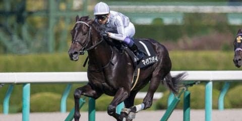 【野路菊S】単勝1.1倍 武豊マイラプソディが5馬身差圧勝！