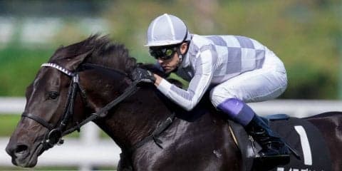 【野路菊S】武豊「来年が楽しみ」マイラプソディがクラシック候補に