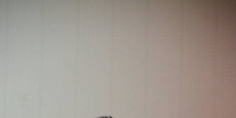 【バスケ（男子）】終盤怒涛の追い上げも勝利には結びつかず、まさかの４連敗…/リーグ戦第５節vs上武大